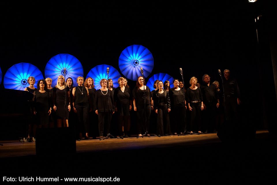 Wieder ist es Zeit für ein Chor-Intermezzo: Ein Medley aus 'Hinter'm Horizont'. musical gentlemen wernau 2018 24
